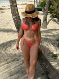 Bikini Animal Print